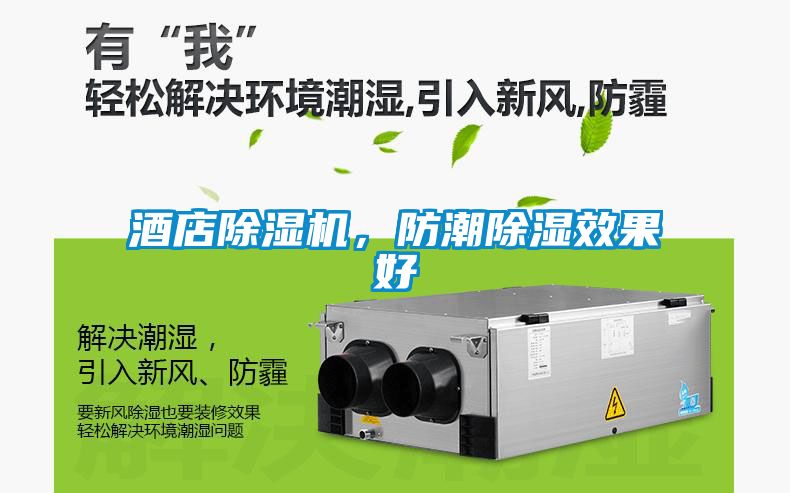 酒店除濕機(jī)，防潮除濕效果好