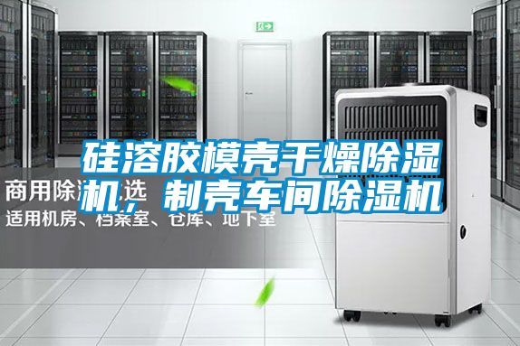 硅溶膠模殼干燥除濕機(jī)，制殼車間除濕機(jī)