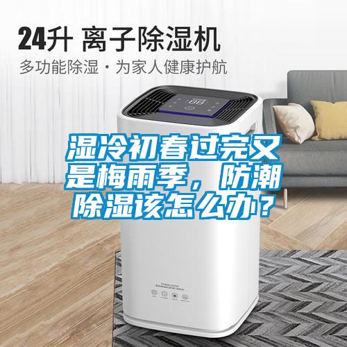 濕冷初春過完又是梅雨季，防潮除濕該怎么辦？