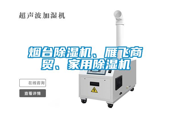 煙臺除濕機(jī)、雁飛商貿(mào)、家用除濕機(jī)