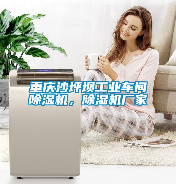 重慶沙坪壩工業(yè)車間除濕機(jī)，除濕機(jī)廠家
