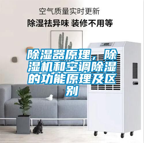 除濕器原理，除濕機(jī)和空調(diào)除濕的功能原理及區(qū)別