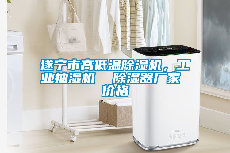 遂寧市高低溫除濕機(jī)，工業(yè)抽濕機(jī)  除濕器廠家 價(jià)格