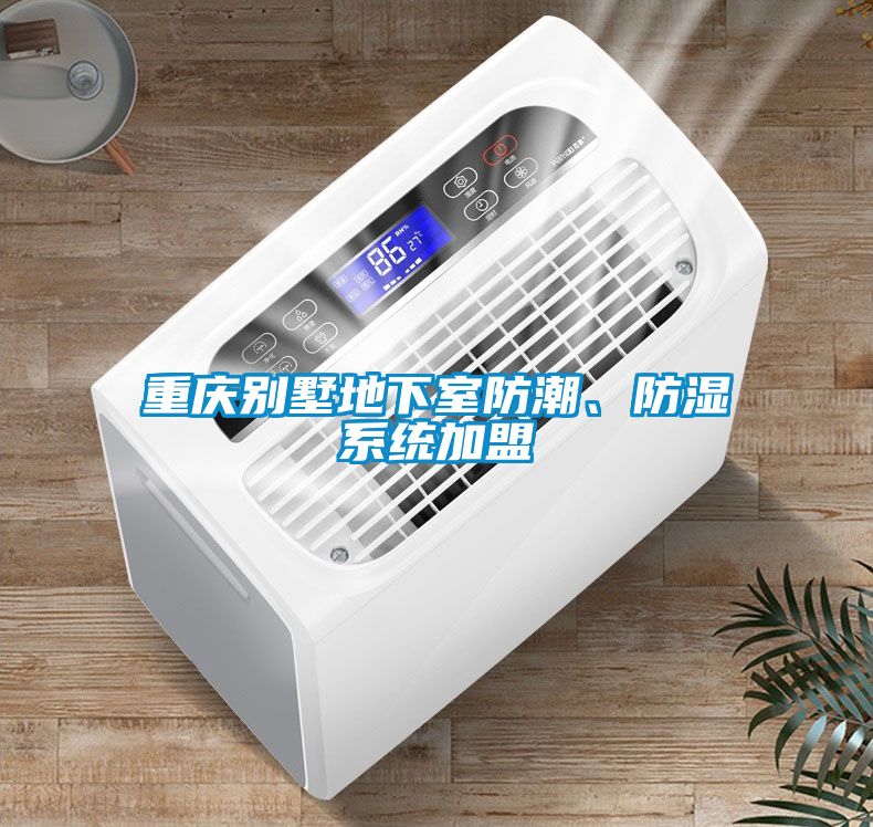 重慶別墅地下室防潮、防濕系統(tǒng)加盟