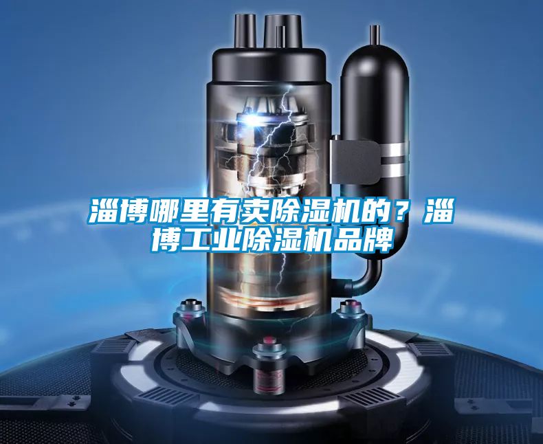 淄博哪里有賣除濕機(jī)的？淄博工業(yè)除濕機(jī)品牌