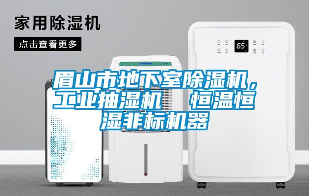 眉山市地下室除濕機(jī)，工業(yè)抽濕機(jī)  恒溫恒濕非標(biāo)機(jī)器