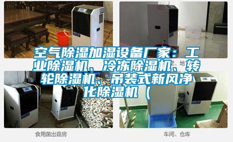 空氣除濕加濕設(shè)備廠家：工業(yè)除濕機(jī)、冷凍除濕機(jī)、轉(zhuǎn)輪除濕機(jī)、吊裝式新風(fēng)凈化除濕機(jī)（