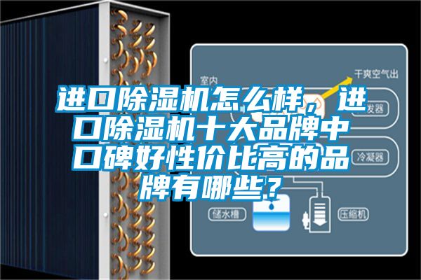 進(jìn)口除濕機(jī)怎么樣，進(jìn)口除濕機(jī)十大品牌中口碑好性?xún)r(jià)比高的品牌有哪些？