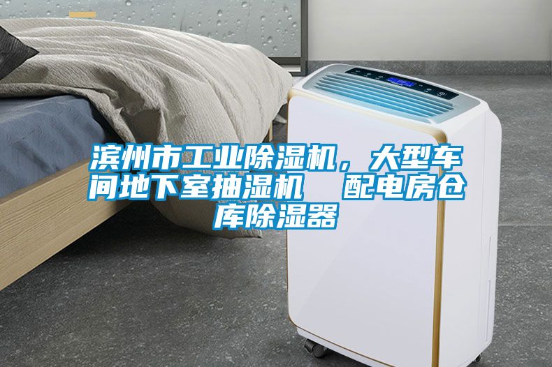 濱州市工業(yè)除濕機(jī)，大型車(chē)間地下室抽濕機(jī)  配電房倉(cāng)庫(kù)除濕器