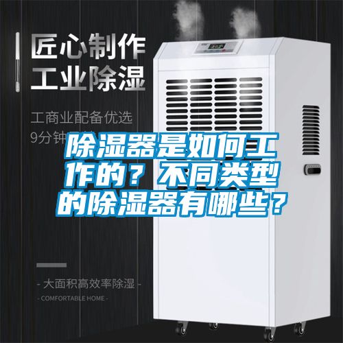 除濕器是如何工作的？不同類型的除濕器有哪些？
