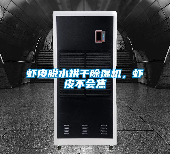蝦皮脫水烘干除濕機，蝦皮不會焦