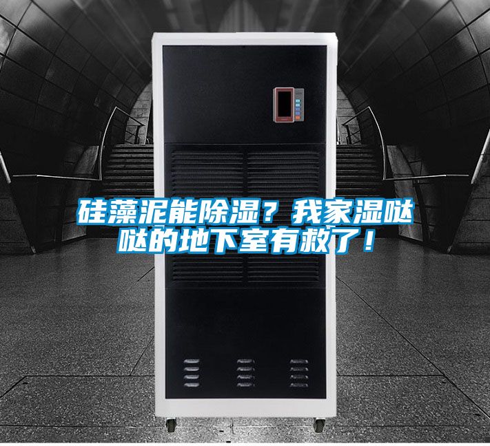 硅藻泥能除濕？我家濕噠噠的地下室有救了！