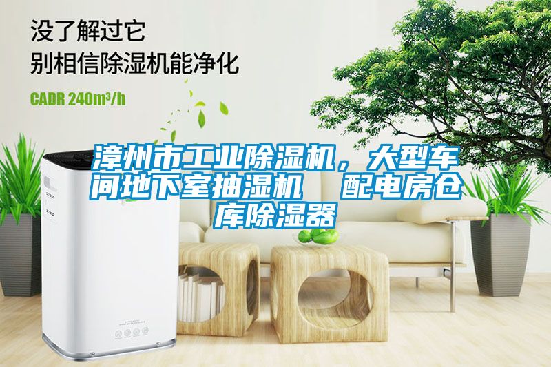 漳州市工業(yè)除濕機(jī)，大型車間地下室抽濕機(jī)  配電房倉(cāng)庫(kù)除濕器