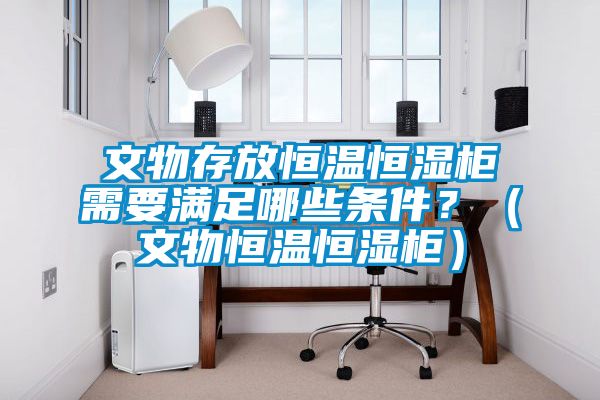 文物存放恒溫恒濕柜需要滿足哪些條件？（文物恒溫恒濕柜）