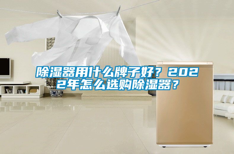 除濕器用什么牌子好？2022年怎么選購除濕器？