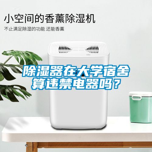 除濕器在大學宿舍算違禁電器嗎？