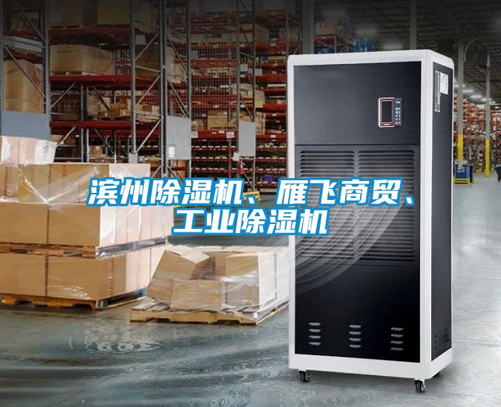 濱州除濕機、雁飛商貿(mào)、工業(yè)除濕機