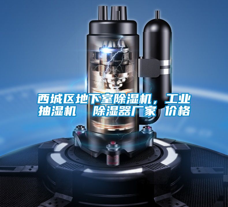 西城區(qū)地下室除濕機(jī)，工業(yè)抽濕機(jī)  除濕器廠家 價(jià)格