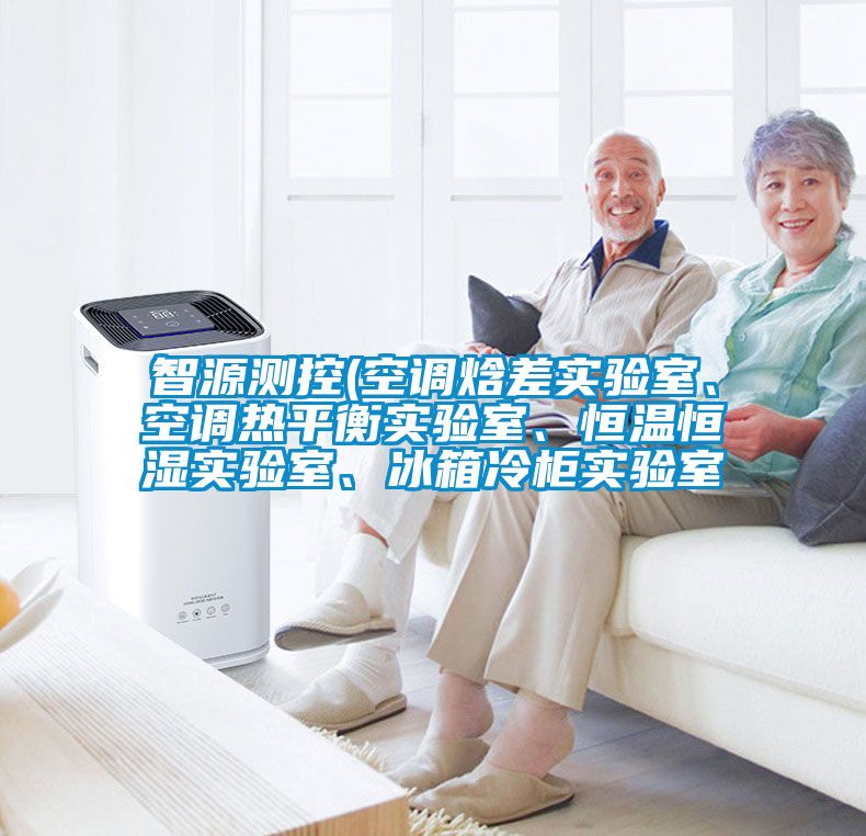 智源測控(空調(diào)焓差實(shí)驗(yàn)室、空調(diào)熱平衡實(shí)驗(yàn)室、恒溫恒濕實(shí)驗(yàn)室、冰箱冷柜實(shí)驗(yàn)室
