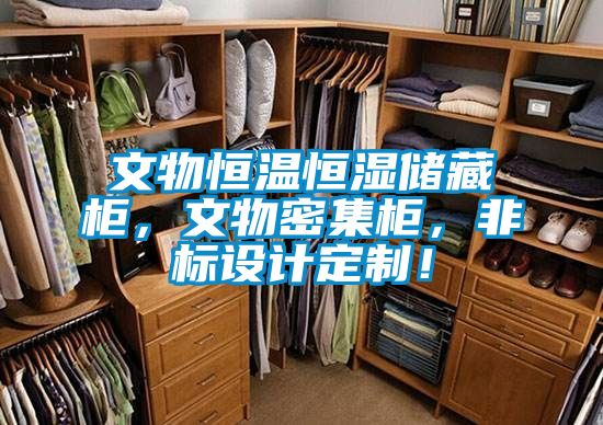 文物恒溫恒濕儲藏柜，文物密集柜，非標設計定制！