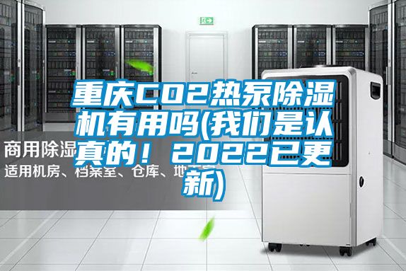 重慶CO2熱泵除濕機有用嗎(我們是認真的！2022已更新)
