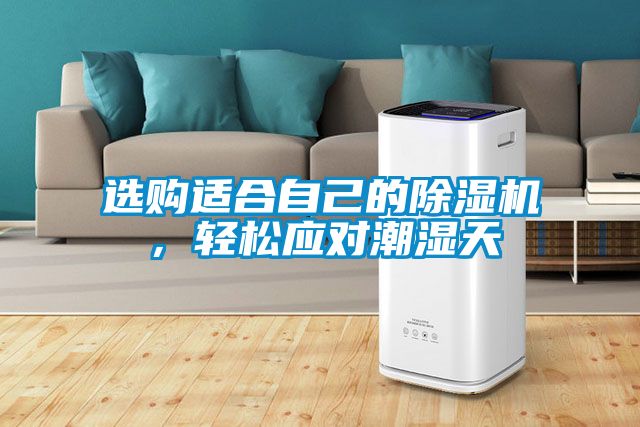 選購適合自己的除濕機，輕松應(yīng)對潮濕天