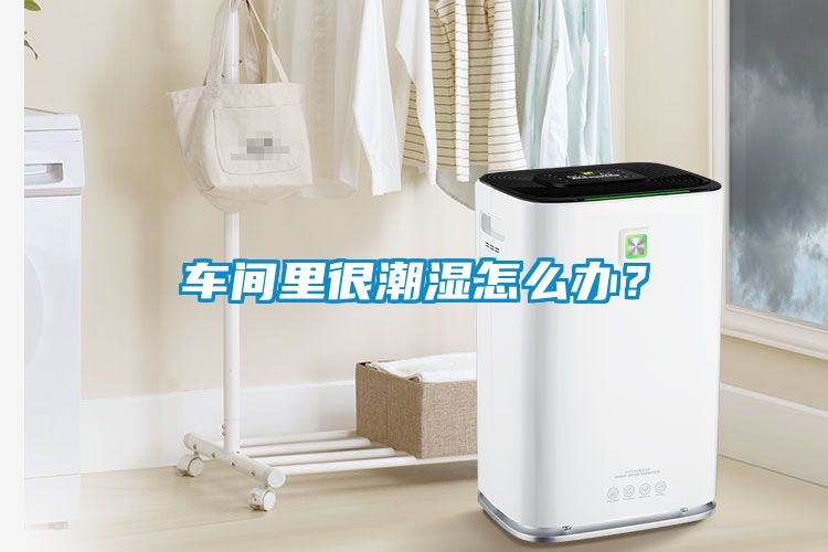 車間里很潮濕怎么辦？