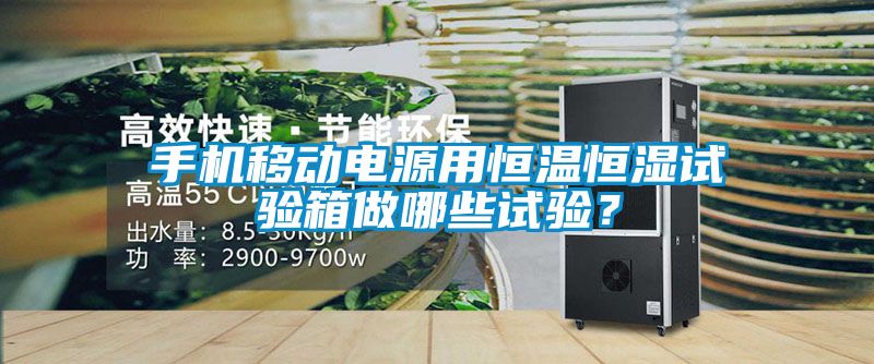手機(jī)移動電源用恒溫恒濕試驗(yàn)箱做哪些試驗(yàn)？