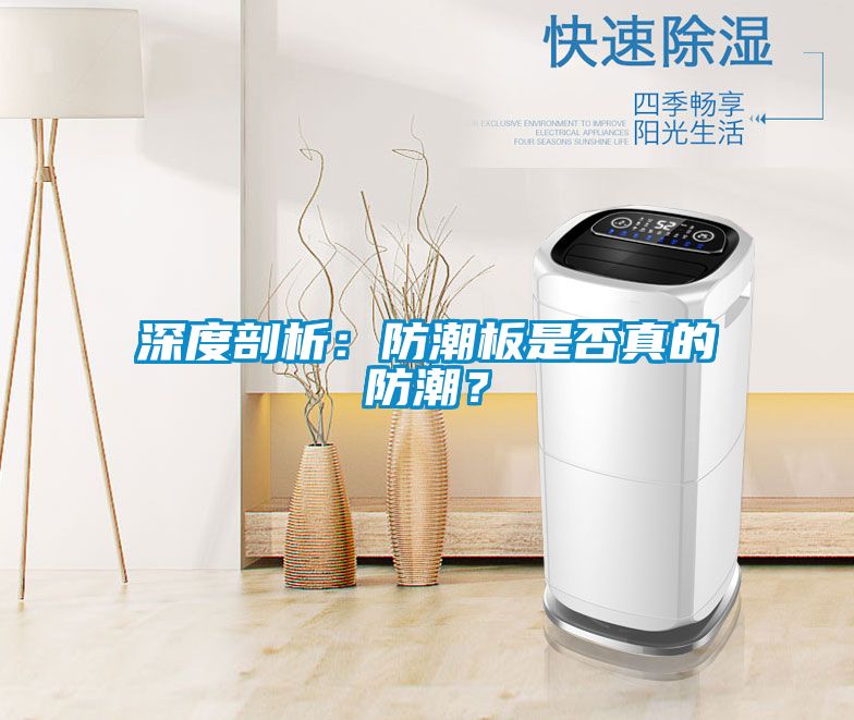 深度剖析：防潮板是否真的防潮？