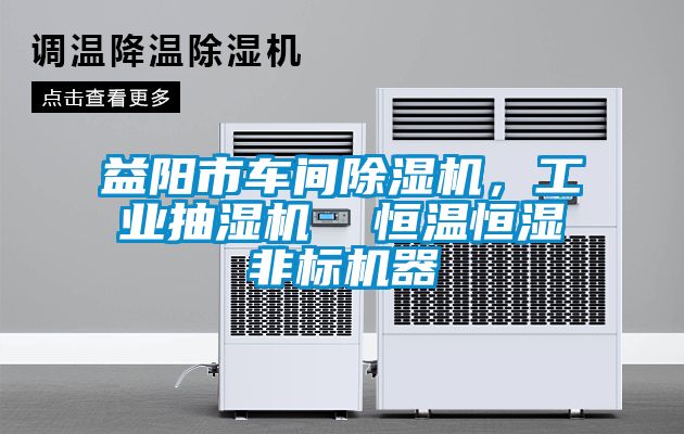 益陽(yáng)市車(chē)間除濕機(jī)，工業(yè)抽濕機(jī)  恒溫恒濕非標(biāo)機(jī)器