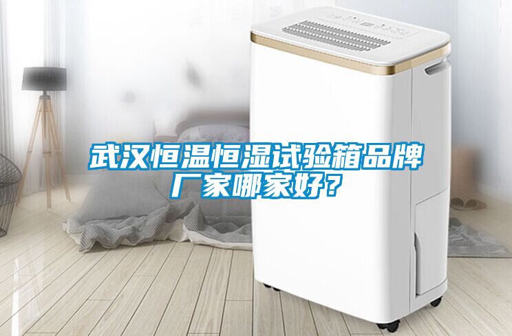 武漢恒溫恒濕試驗箱品牌廠家哪家好？