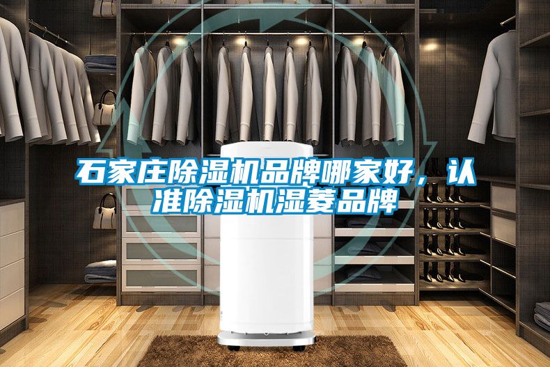石家莊除濕機(jī)品牌哪家好，認(rèn)準(zhǔn)除濕機(jī)濕菱品牌