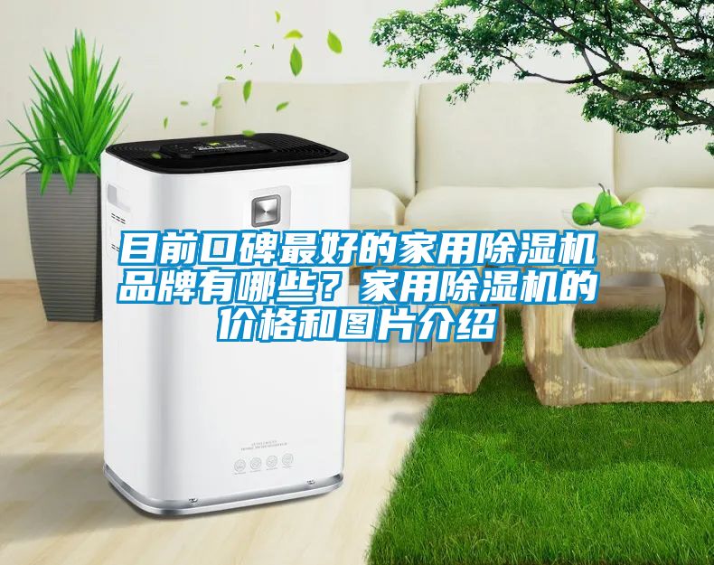 目前口碑最好的家用除濕機品牌有哪些？家用除濕機的價格和圖片介紹