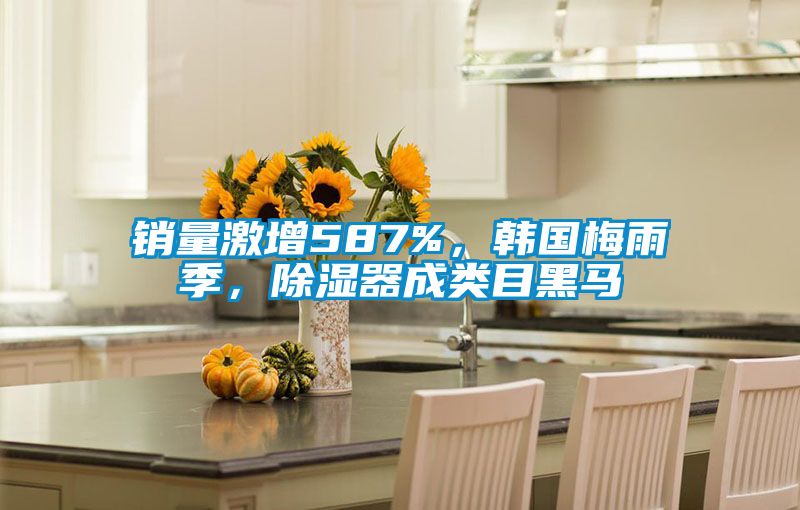 銷量激增587%，韓國梅雨季，除濕器成類目黑馬