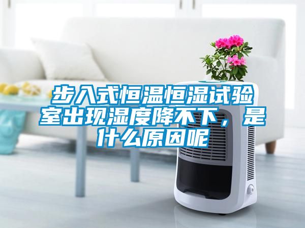 步入式恒溫恒濕試驗(yàn)室出現(xiàn)濕度降不下，是什么原因呢