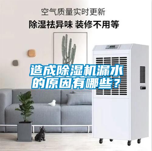 造成除濕機漏水的原因有哪些？
