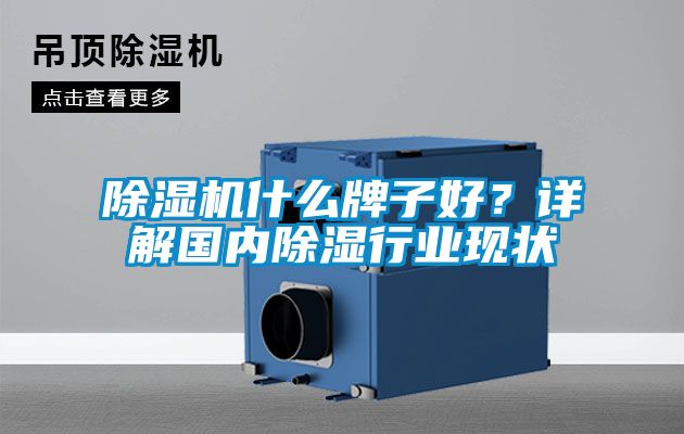 除濕機(jī)什么牌子好？詳解國內(nèi)除濕行業(yè)現(xiàn)狀