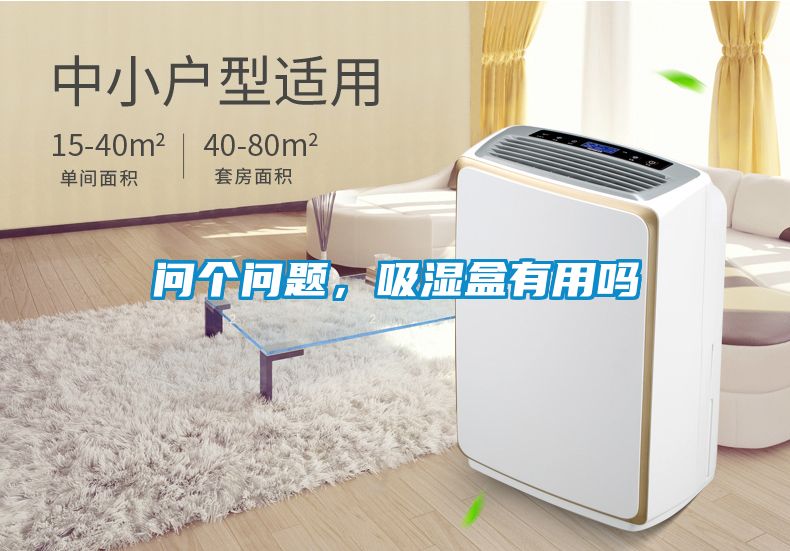 問個問題，吸濕盒有用嗎