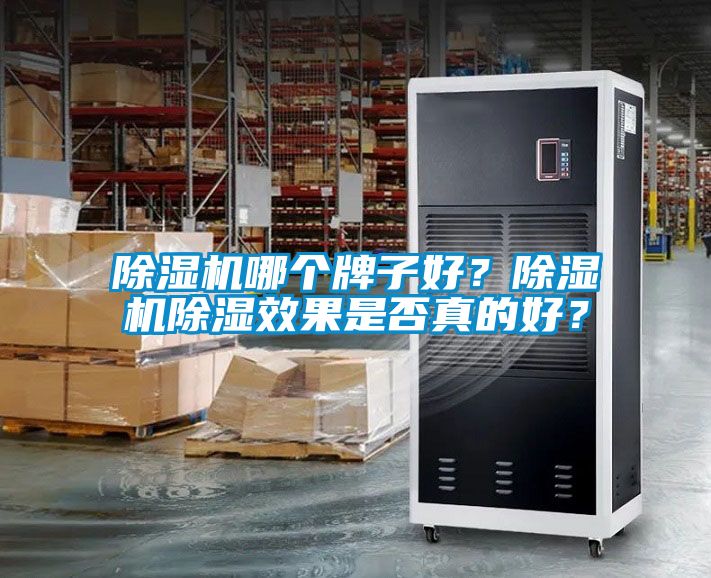 除濕機哪個牌子好？除濕機除濕效果是否真的好？