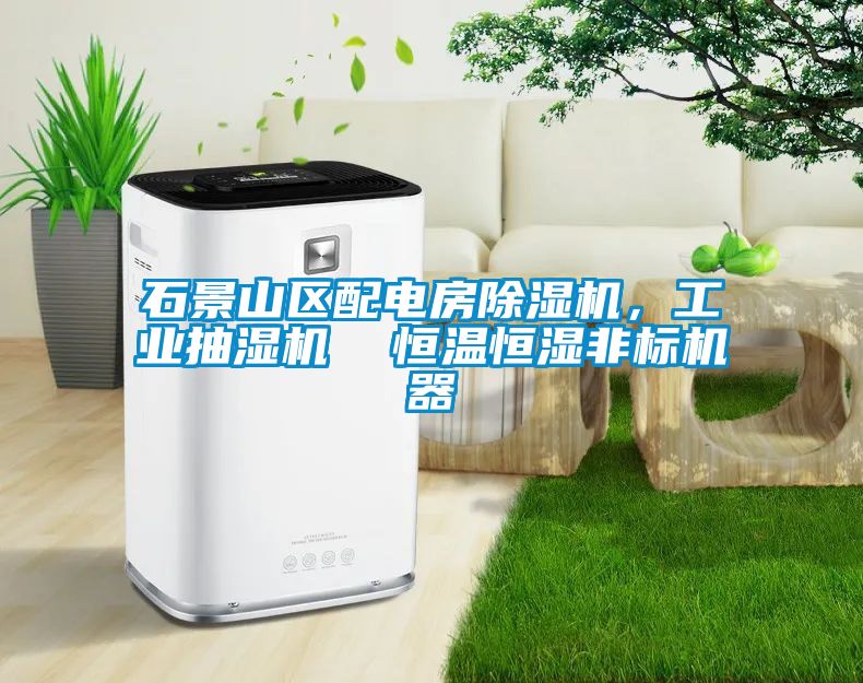 石景山區(qū)配電房除濕機，工業(yè)抽濕機  恒溫恒濕非標機器