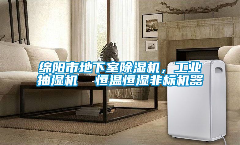 綿陽市地下室除濕機，工業(yè)抽濕機  恒溫恒濕非標機器