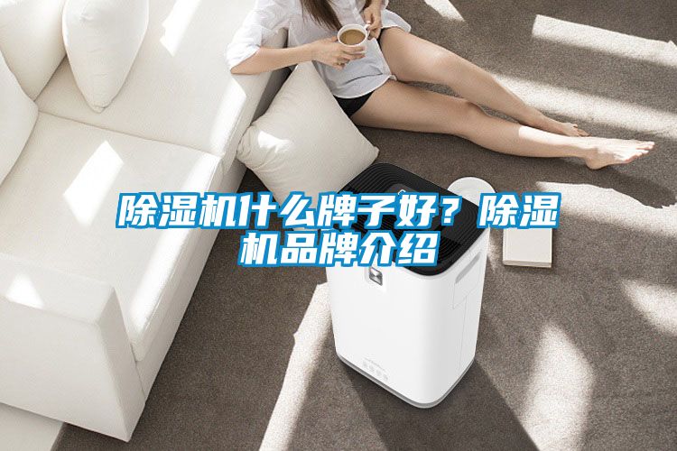 除濕機(jī)什么牌子好？除濕機(jī)品牌介紹