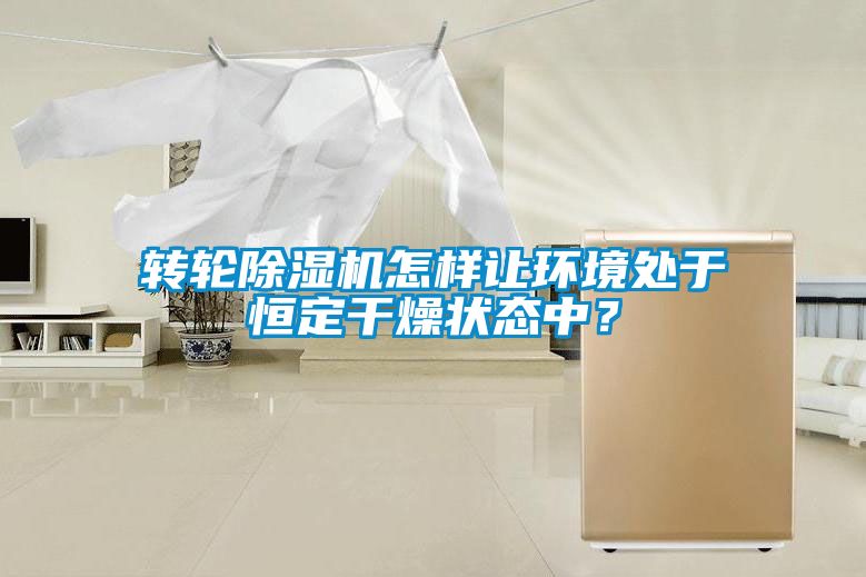 轉(zhuǎn)輪除濕機(jī)怎樣讓環(huán)境處于恒定干燥狀態(tài)中？