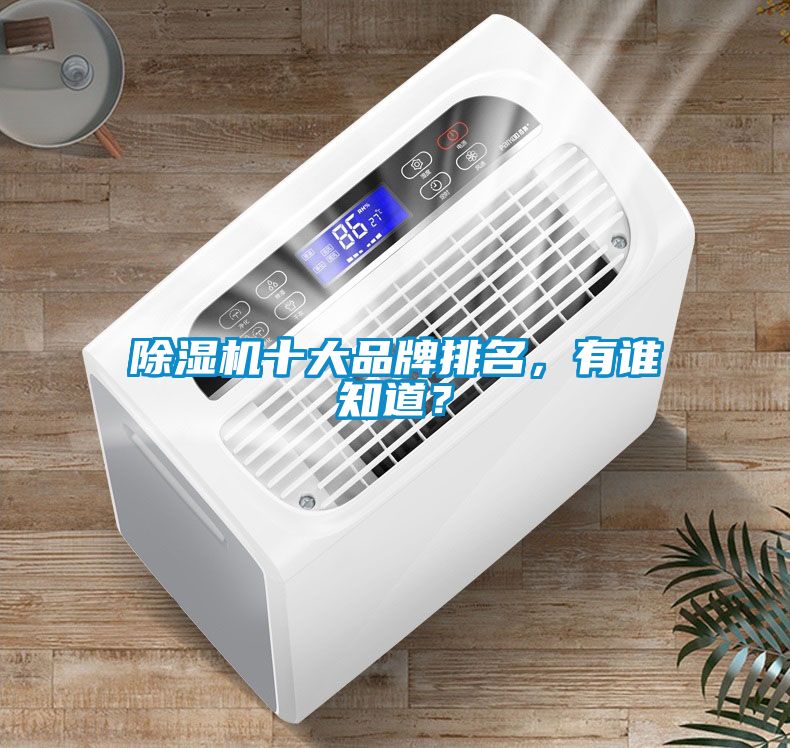 除濕機十大品牌排名，有誰知道？