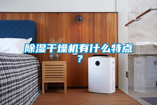 除濕干燥機(jī)有什么特點(diǎn)？