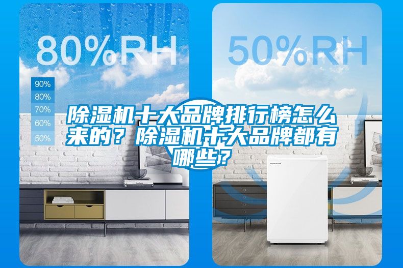 除濕機十大品牌排行榜怎么來的？除濕機十大品牌都有哪些？