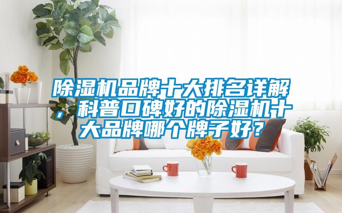 除濕機(jī)品牌十大排名詳解，科普口碑好的除濕機(jī)十大品牌哪個牌子好？