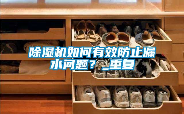 除濕機如何有效防止漏水問題？_重復