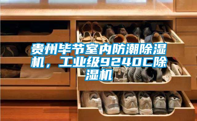貴州畢節(jié)室內(nèi)防潮除濕機(jī)，工業(yè)級(jí)9240C除濕機(jī)