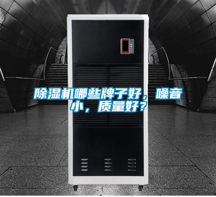 除濕機(jī)哪些牌子好，噪音小，質(zhì)量好？